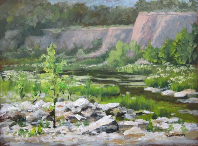 Chalk Ridge Falls (Plein Air) 9x12 Acrylic.  Had about an hour for some quick messy fun. 