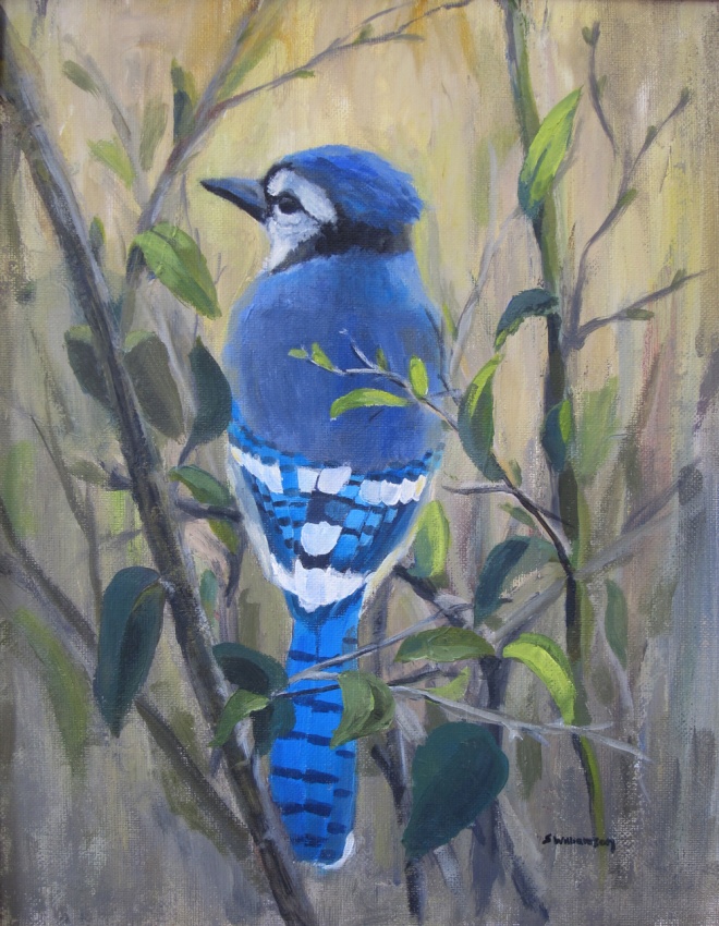 Blue Jay painting